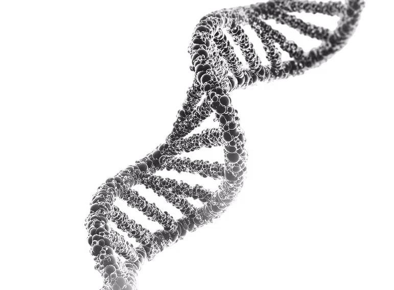 DNA structure